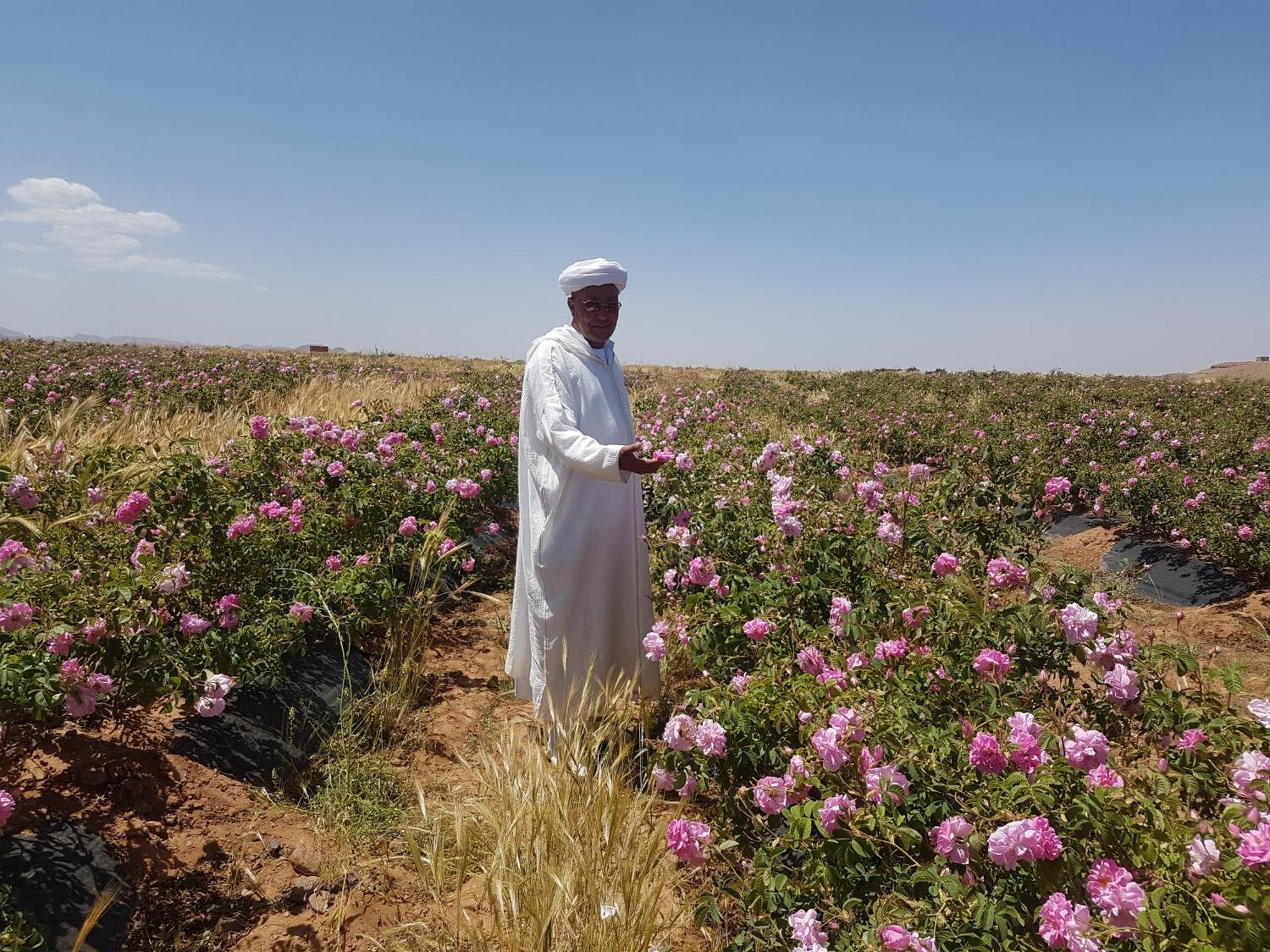فندق Kasbah Ait Kassi Boumalne المظهر الخارجي الصورة