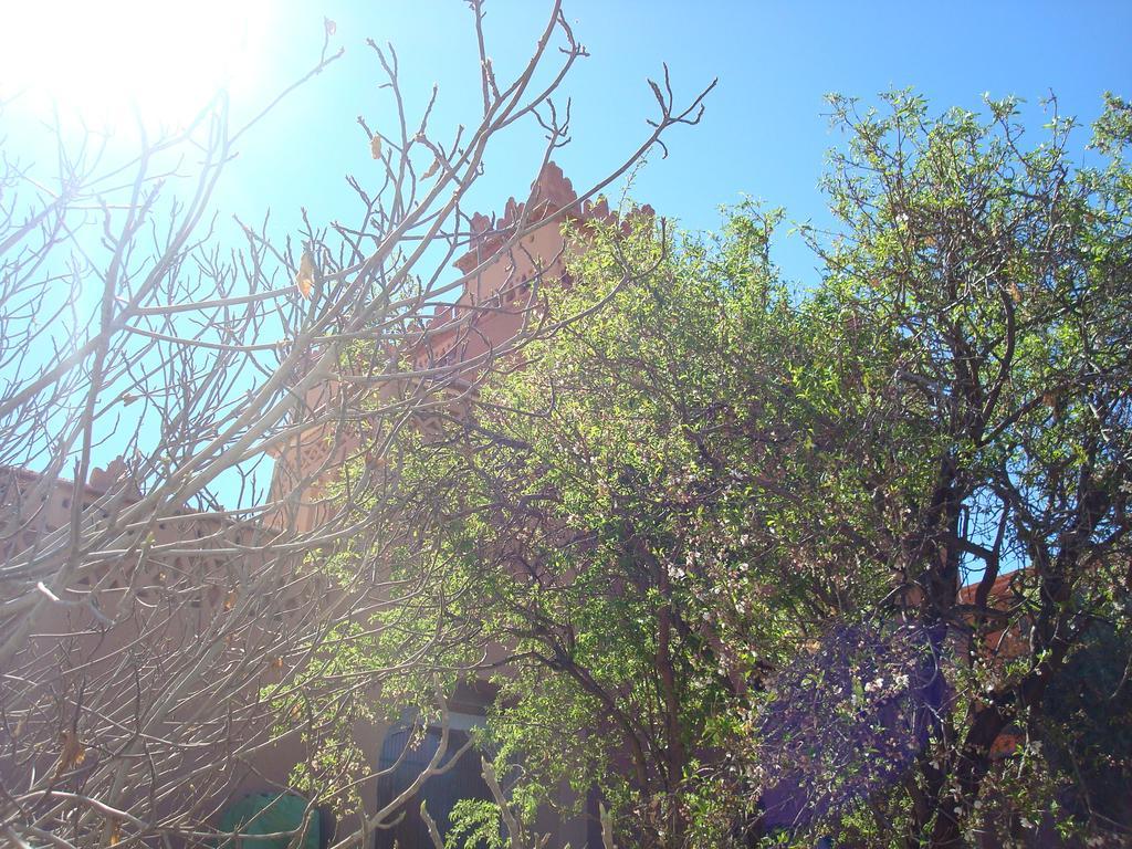 فندق Kasbah Ait Kassi Boumalne المظهر الخارجي الصورة