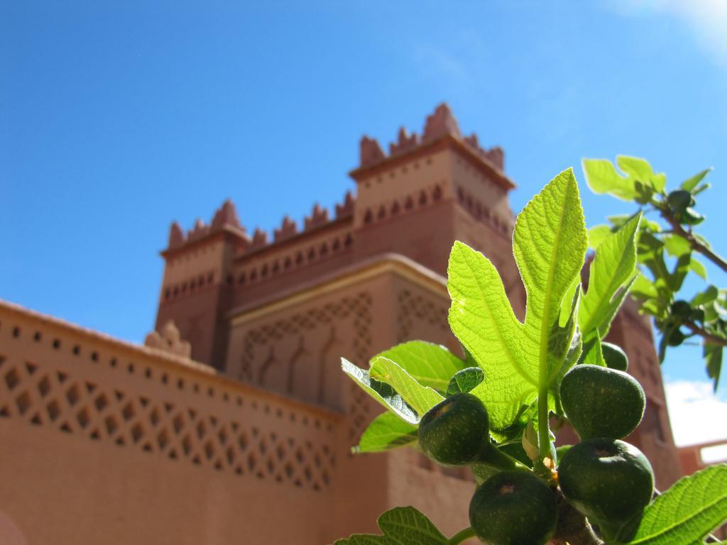 فندق Kasbah Ait Kassi Boumalne المظهر الخارجي الصورة